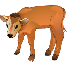 Painting of calf